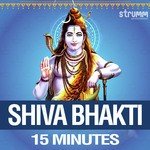 Shiva Bhakti - 15 Minutes - Kedar Pandit Song Download