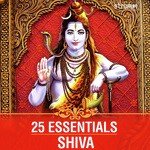 25 Essentials - Shiva - Kedar Pandit Song Download